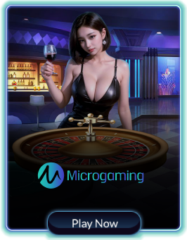 MICRO GAMING